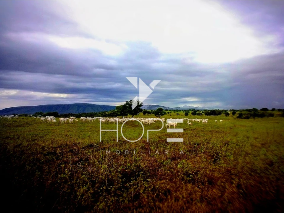 Fazenda à venda – 1.750 Alqueires (4.235 Hectares) – Alvorada do Norte/GO