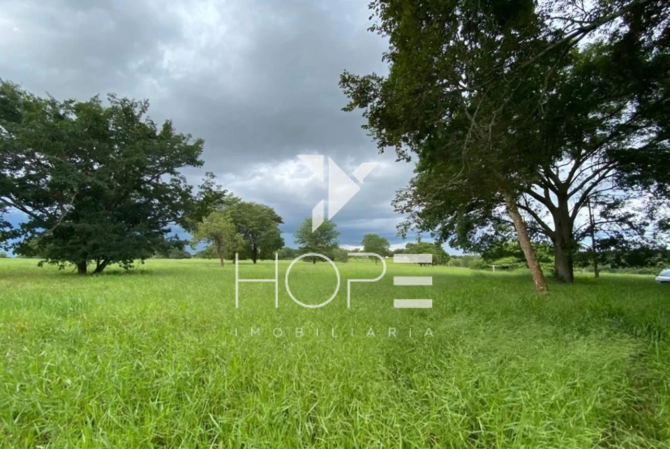 Imagens do imóveis Fazenda à Venda - 19 Alqueires - Dupla Aptidão - Região de Prata MG - Entre Prata e Uberlândia - Triângulo Mineiro