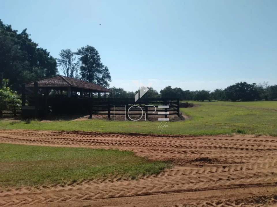 Imagens do imóveis Fazenda de laranja à venda com 77.5 alqueires - 77.150 pés - certificado para exportação - Região de Marília SP