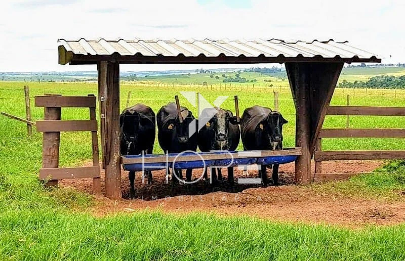 Imagens do imóveis Fazenda Leiteira Porteira Fechada à Venda – 78 Alqueires – Paranavaí/PR – Estrutura Completa + Usina Solar
