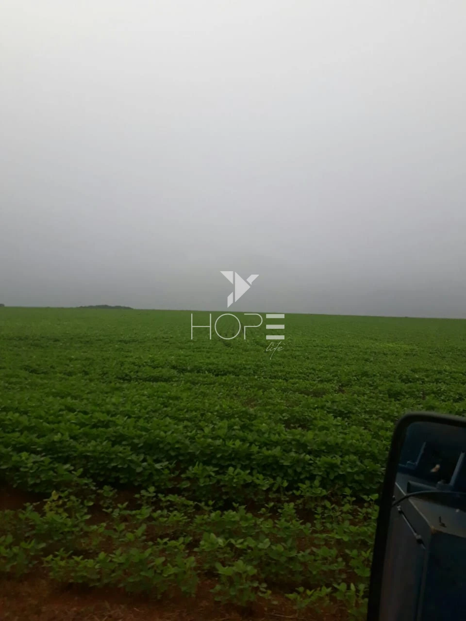 Imagens do imóveis Fazenda à venda 39.000 hectares dupla aptidão com armazém e pista de pouso – região de Confresa – Mato Grosso