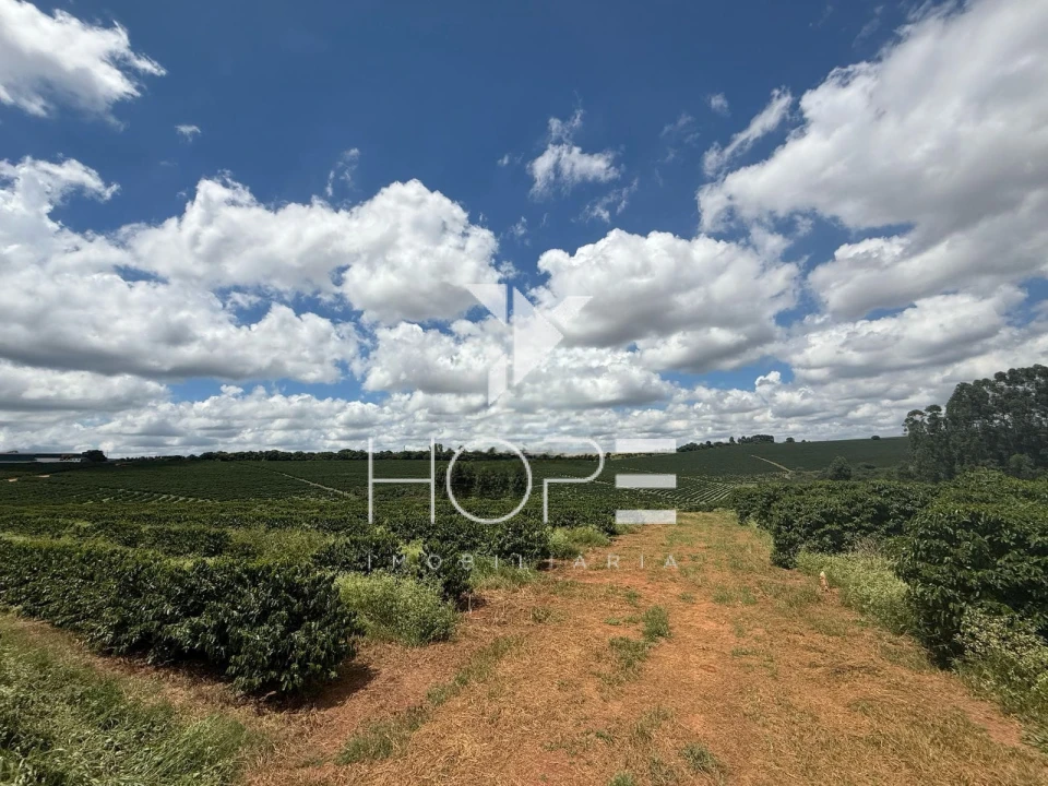Imagens do imóveis fazenda cafeeira à venda 640 hectares irrigada – município de São Sebastião do Paraíso – Minas Gerais