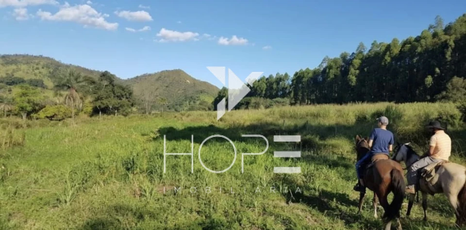 Imagens do imóveis Fazenda Dupla Aptidão - 112 Alqueires - Água Fria de Goiás GO - 542 Hectares - Boa de Água  - Eucalipto e Acácia