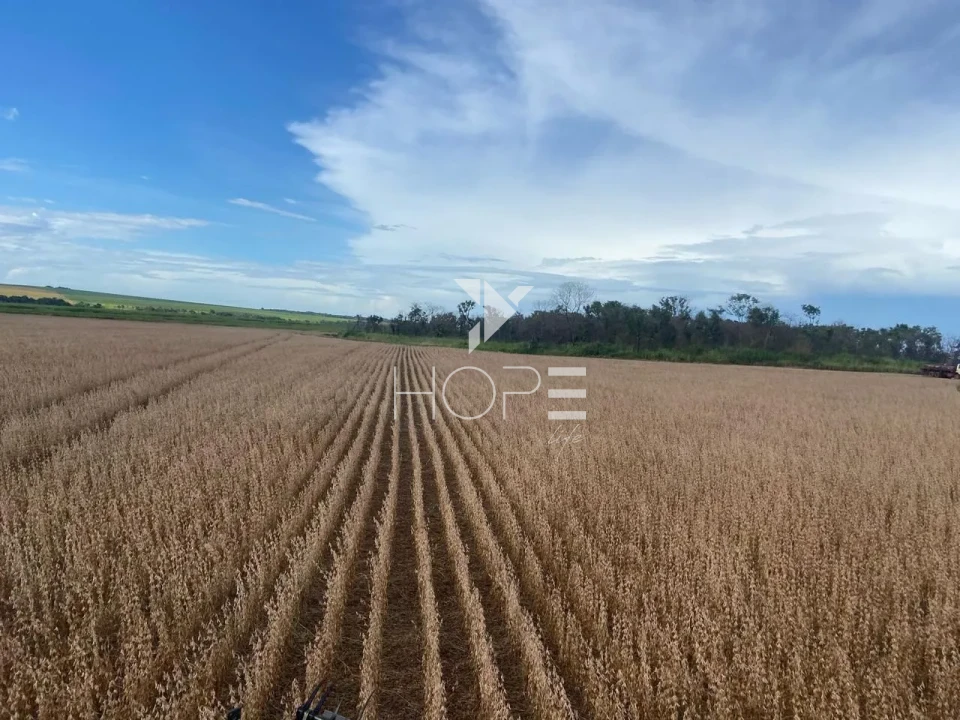 Imagens do imóveis Fazenda à venda com 33.000 hectares - agricultura em larga escala - estrutura completa - pista de pouso - Primavera do Leste MT
