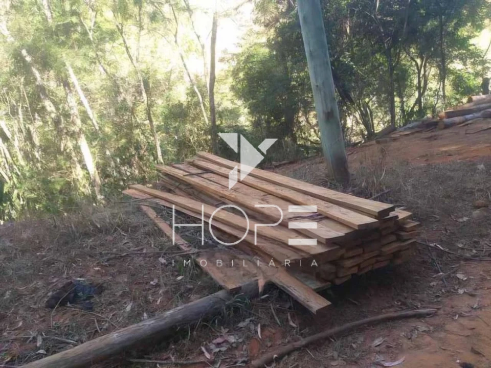 Imagens do imóveis Fazenda Produtiva à Venda - Santa Maria Madalena RJ - 456 Hectares - 146 Alqueires