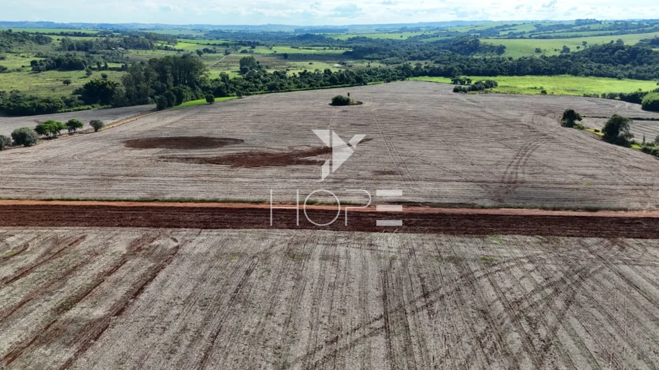 Imagens do imóveis Sítio à venda com 25 alqueires (61 hectares) - 15 alqueires em plantio - Itapetininga SP