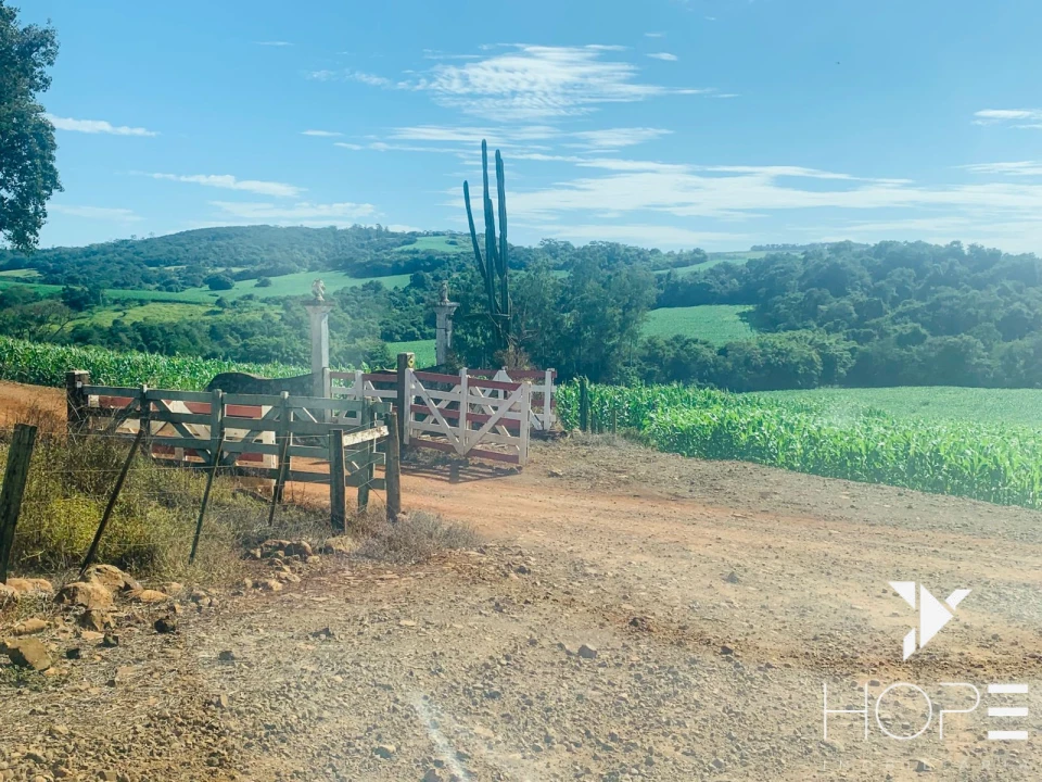 Imagens do imóveis Fazenda à Venda – 84 Alqueires – Sertanópolis/PR