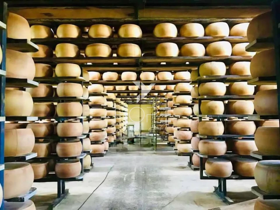 Imagens do imóveis fazenda leiteira à venda com 127 alqueires - laticínio próprio - porteira fechada - Pouso Alegre MG