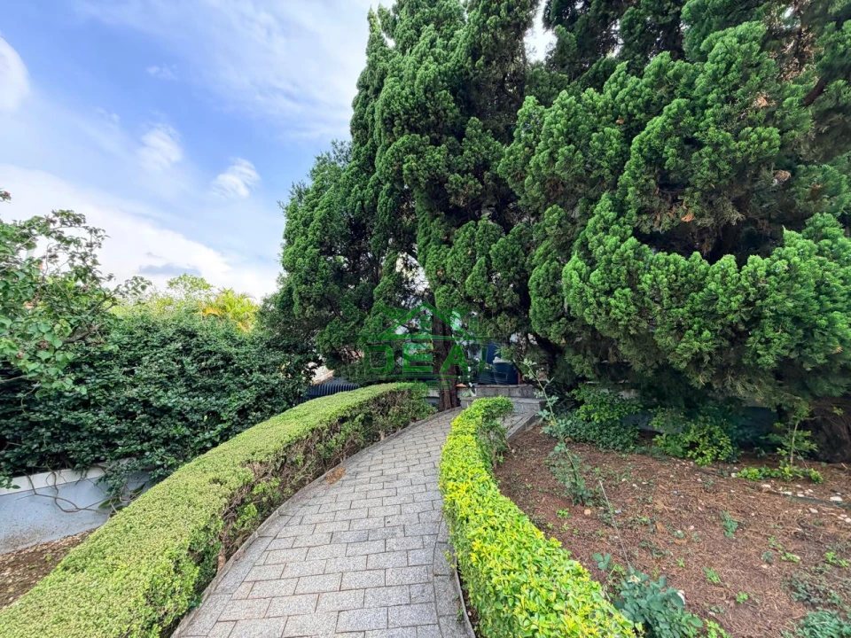 Imagens do imóveis Casa Térrea no Alto da Lapa