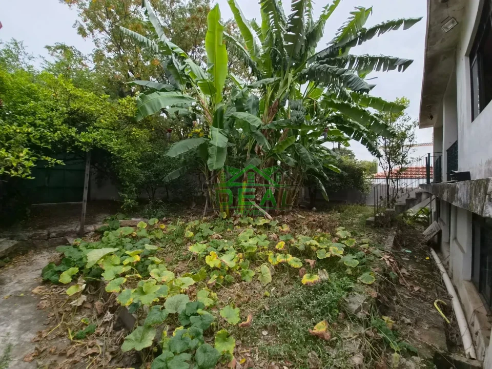 Imagens do imóveis Casa Térrea com 3 dormitórios ,3 vagas de garagem