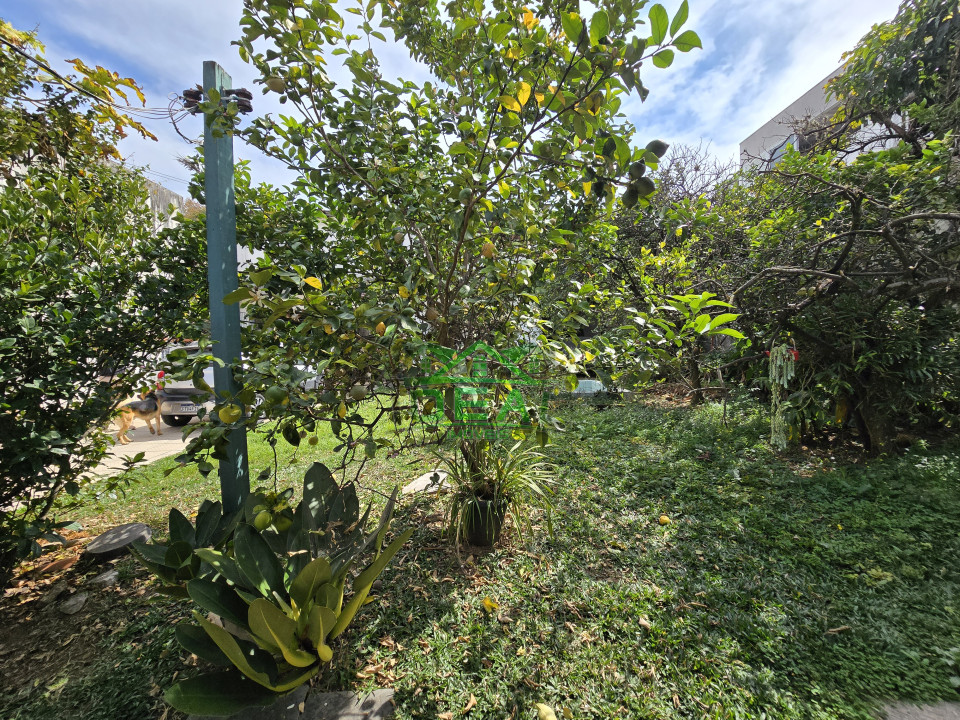 Imagens do imóveis Casa Térrea para Venda no Alto da Lapa, 655m² de Terreno