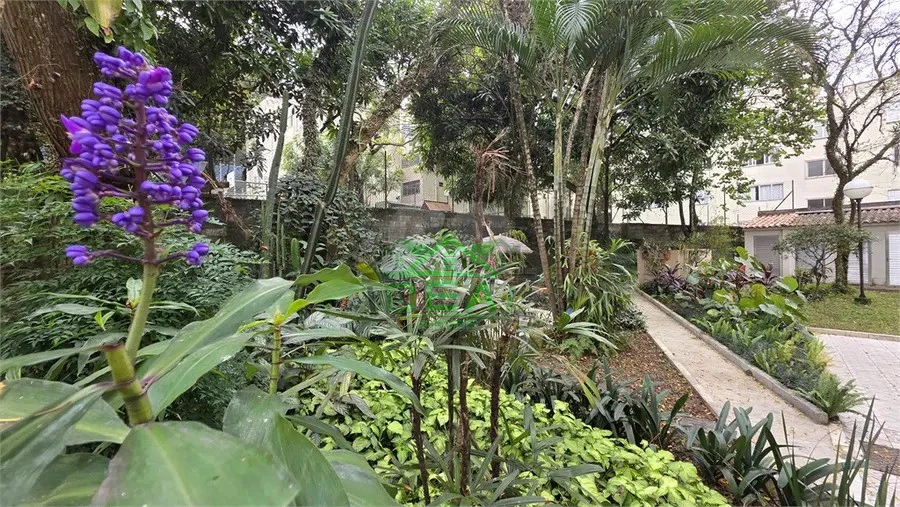 Imagens do imóveis Apartamento para Venda no Alto de Pinheiros, 3 Dorms, 66m²