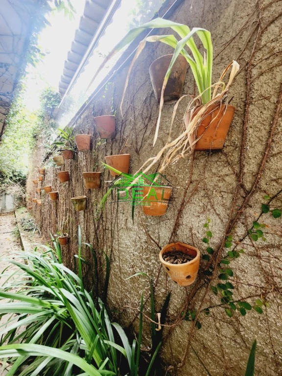Casa Térrea para Venda no Alto da Lapa, bem localizada e rua arborizada Imagens do imóveis Casa Térrea para Venda no Alto da Lapa, bem localizada e rua arborizada