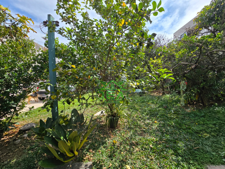 Imagens do imóveis Casa Térrea para Venda no Alto da Lapa, 655m² de Terreno