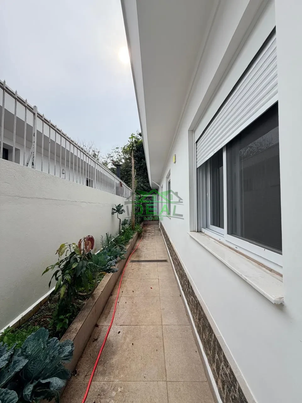 Imagens do imóveis Casa Térrea para Locação no Alto da Lapa, Rua Tranquila e Arborizada