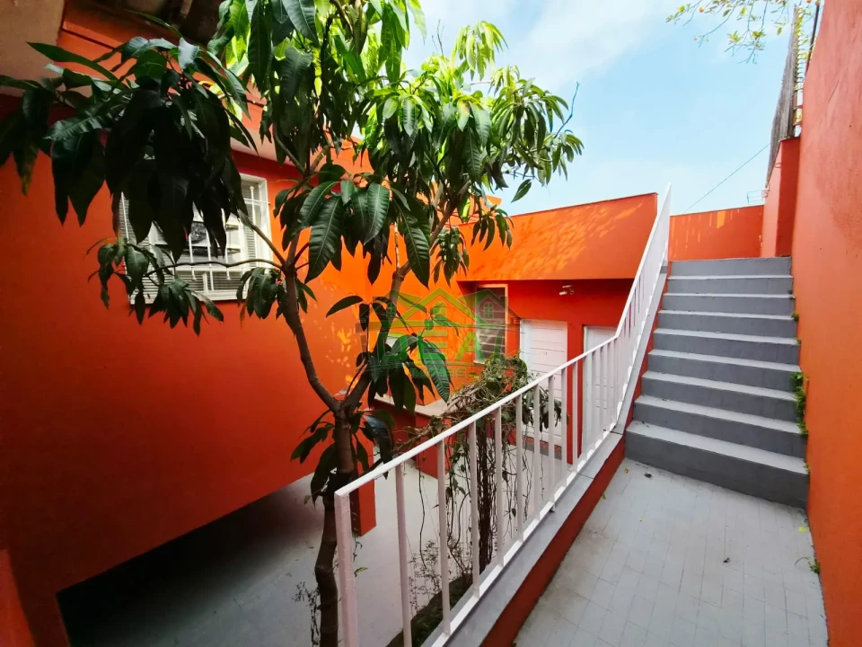 Imagens do imóveis Casa para locação, com 3 dormitórios, 2 vagas, Próximo ao MC DONALDS , na Cerro Corá