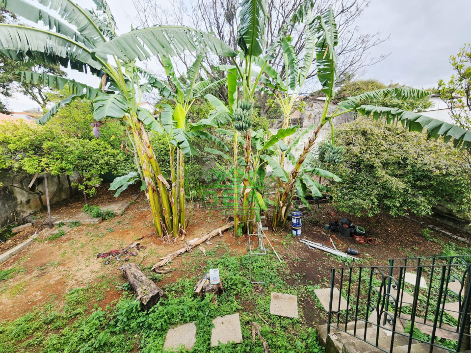 Imagens do imóveis Casa para venda no Alto da Lapa SP