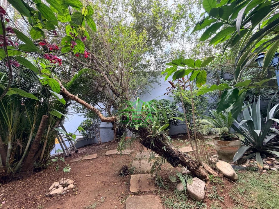Imagens do imóveis Casa Térrea no Alto da Lapa