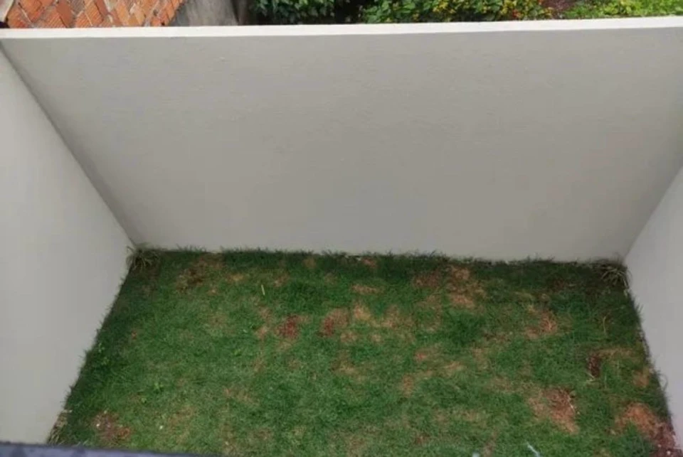 Imagens do imóveis Casa à venda no Colinas