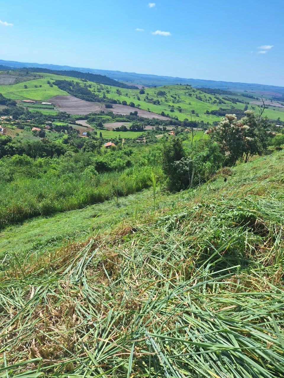 Imagens do imóveis Chácara no Condomínio Itaúna