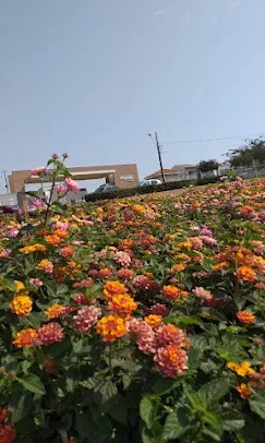Imagens do imóveis TERRENO DE ESQUINA COND. MORADA DAS FLORES