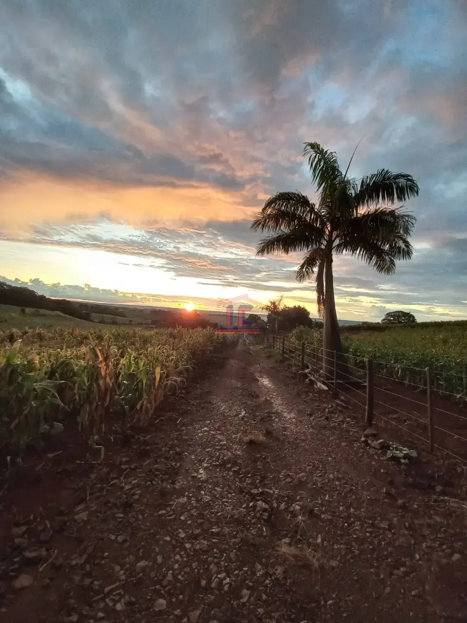 Imagens do imóveis CHÁCARA  BELA VISTA DO PARAÍSO