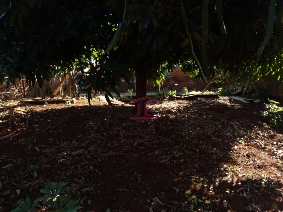 Imagens do imóveis Casa térrea