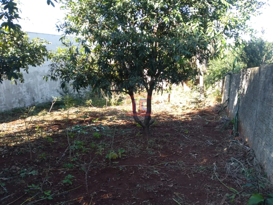 Imagens do imóveis Casa térrea