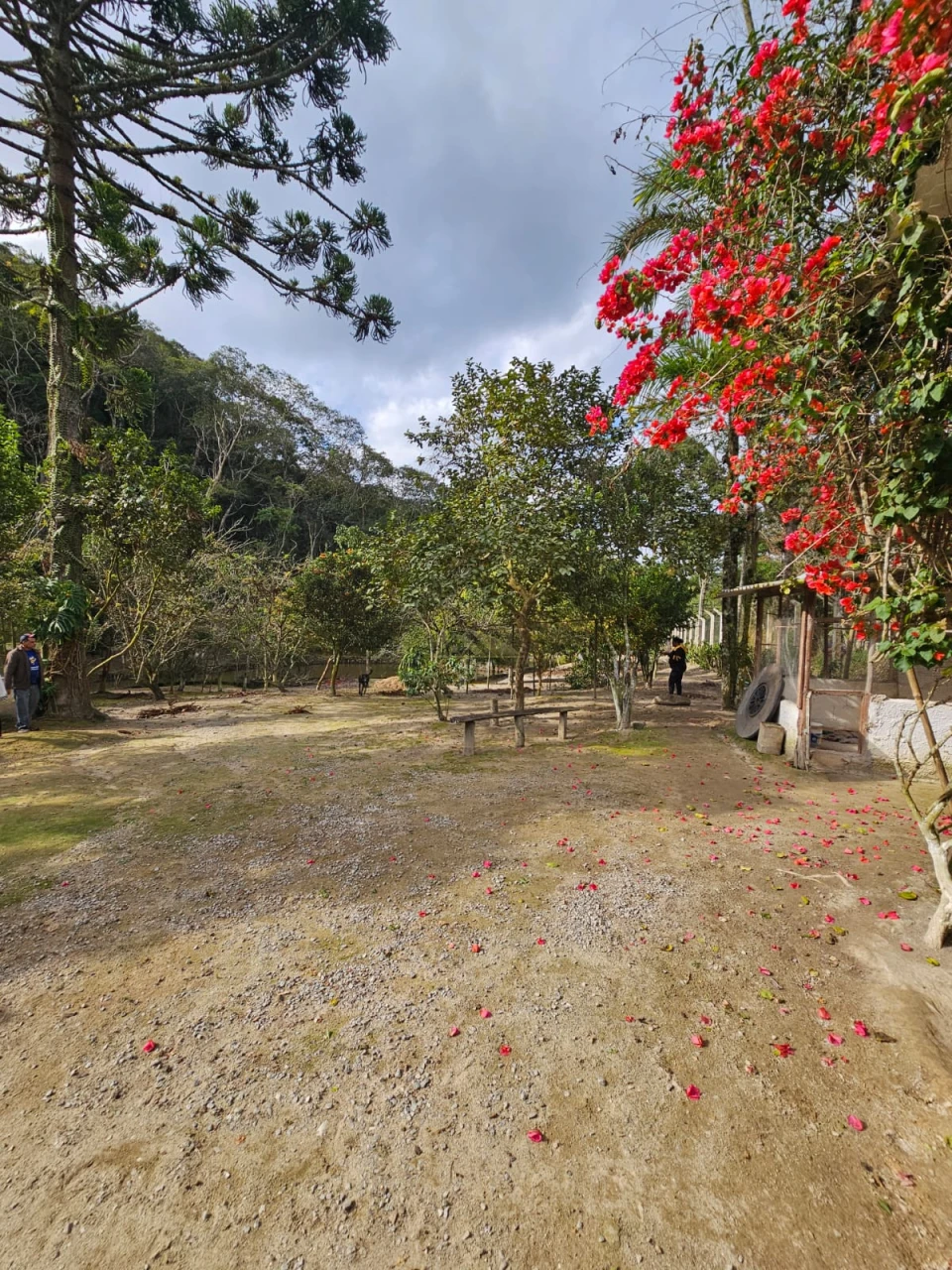 Imagens do imóveis SÍTIO DAS ARAUCÁRIAS