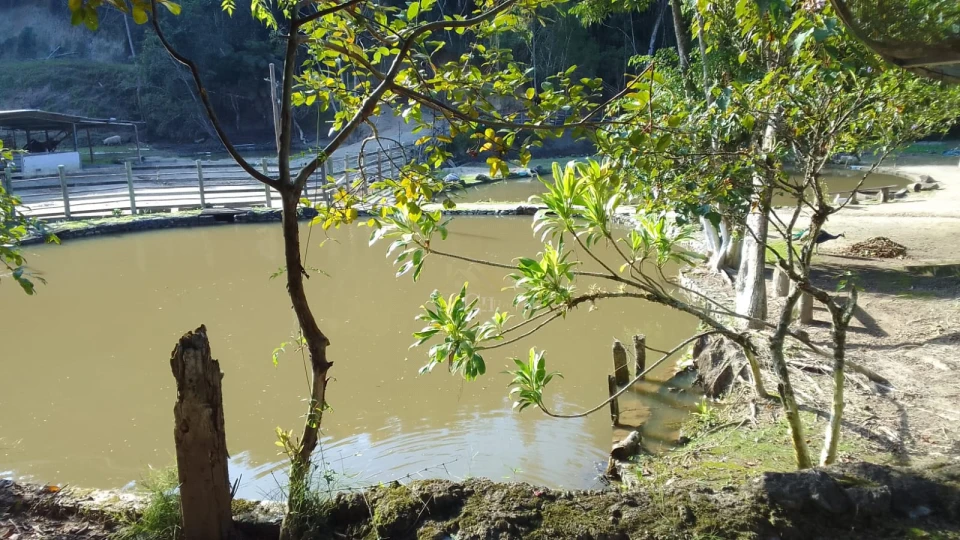 Imagens do imóveis SÍTIO DAS ARAUCÁRIAS