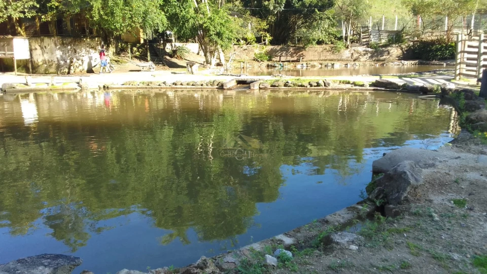 Imagens do imóveis SÍTIO DAS ARAUCÁRIAS