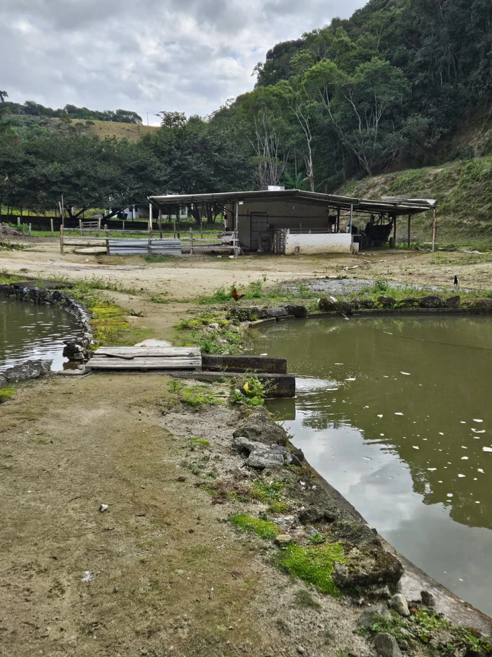 Imagens do imóveis SÍTIO DAS ARAUCÁRIAS