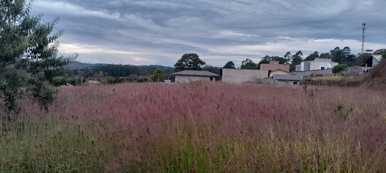 Fazenda/Sítios/Chácaras À Venda Condomínio Campo Alegre Poços De Caldas