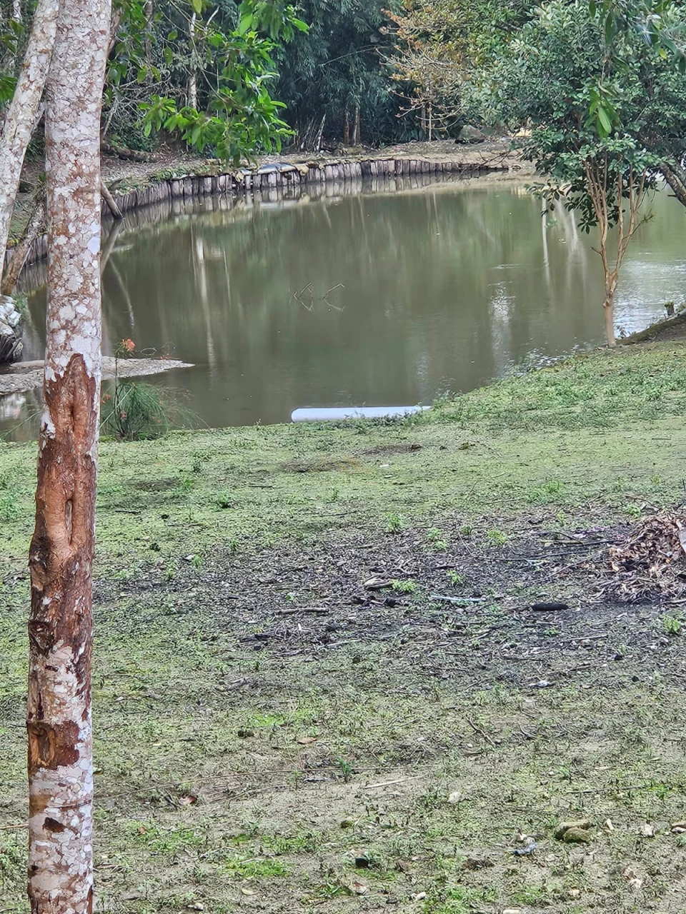 Imagens do imóveis SÍTIO DAS ARAUCÁRIAS