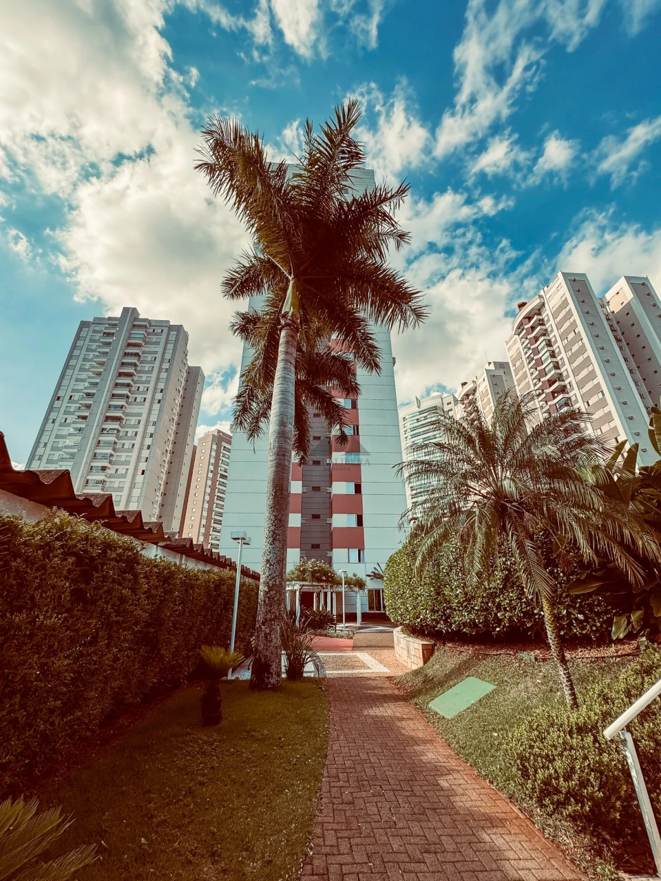 GLEBA PALHANO DUE TORRE