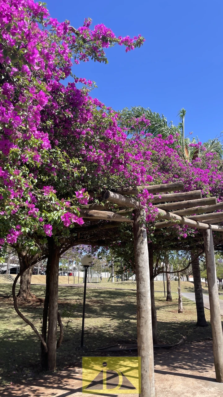 EDIFÍCIO RESIDENCIAL SPAZIO LOTUS