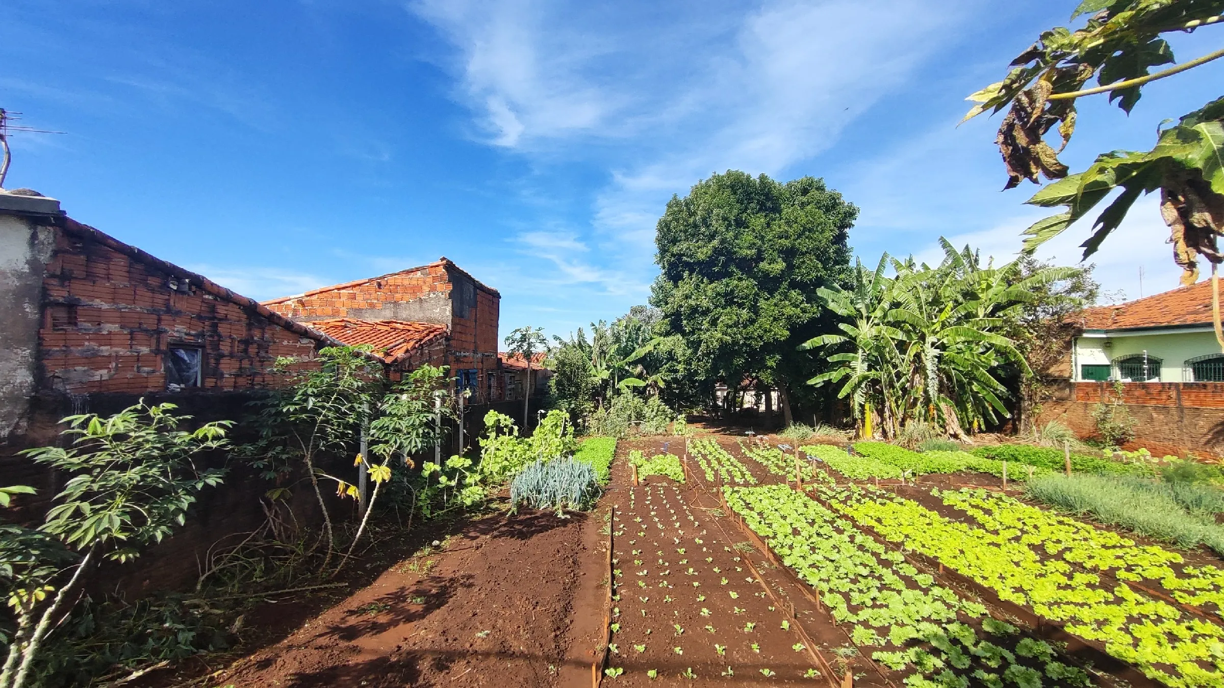 Terreno À Venda Jardim Da Colina Igaraçu Do Tietê