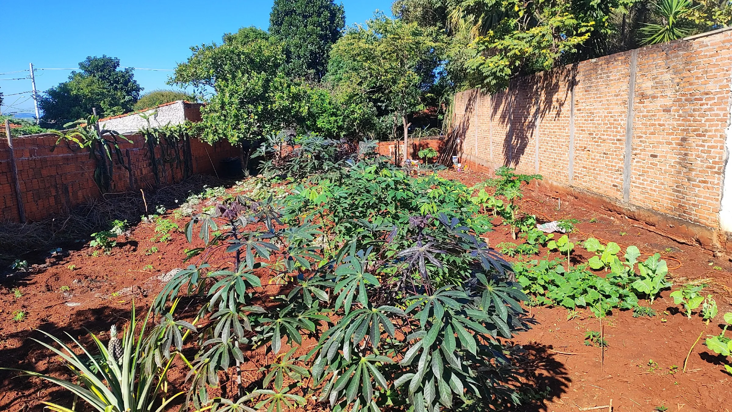 Terreno À Venda Vila Novo Igaraçu Igaraçu Do Tietê