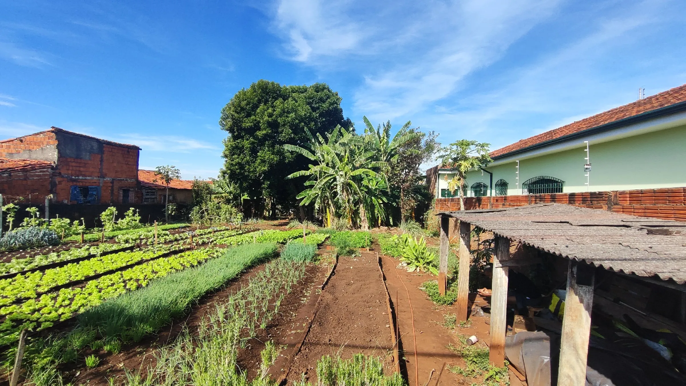 Terreno À Venda Jardim Da Colina Igaraçu Do Tietê