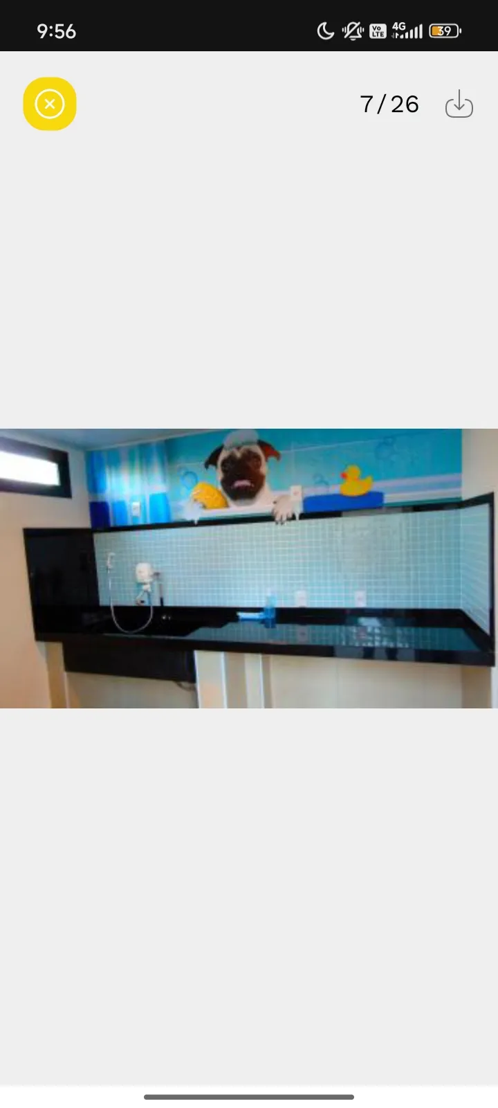 Apartamento À Venda Quinta Ranieri Bauru