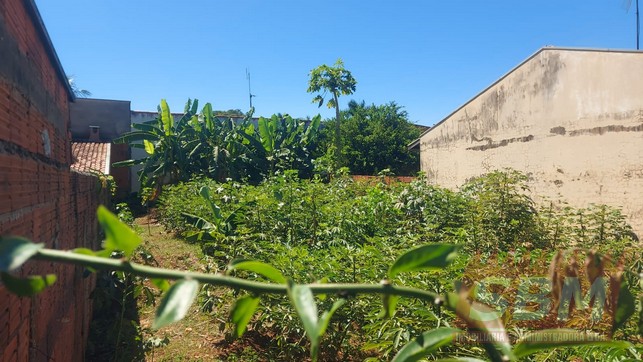 Terreno À Venda Jardim Nova Barra Barra Bonita