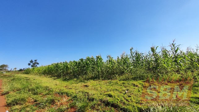 Fazenda/Sítios/Chácaras para locação Entulho Barra Bonita