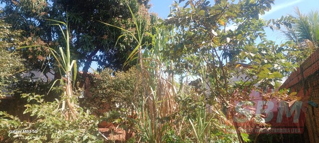 Fazenda/Sítios/Chácaras à venda ZONA RURAL Igaraçu do Tietê