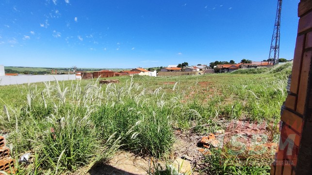 Terreno à venda VILA NOVA Barra Bonita