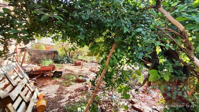 Terreno À Venda Jardim Dos Ipês Barra Bonita