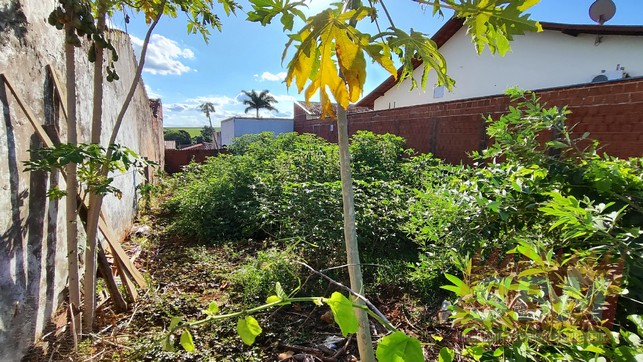 Terreno à venda JARDIM NOVA BARRA Barra Bonita