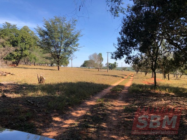 Fazenda/Sítios/Chácaras à venda Centro Agudos