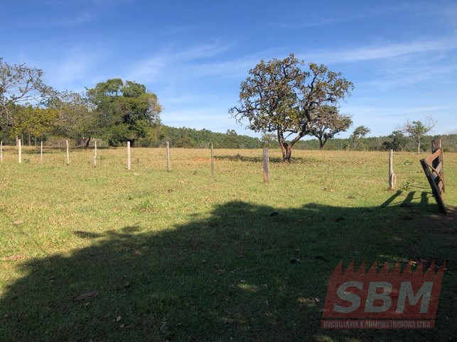 Fazenda/Sítios/Chácaras à venda Centro Agudos