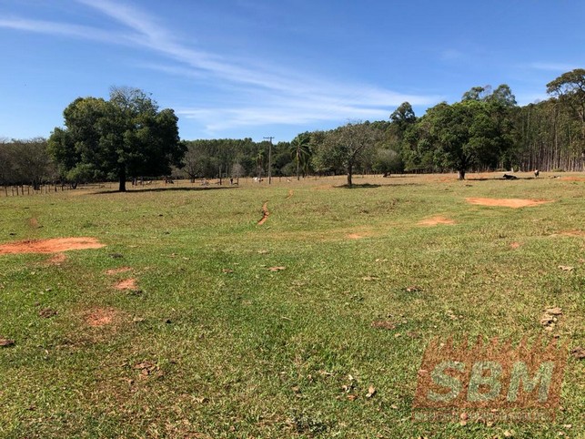 Fazenda/Sítios/Chácaras à venda Centro Agudos