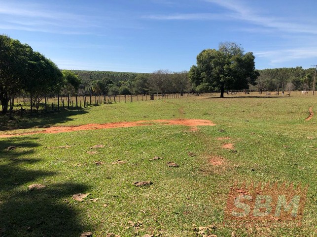 Fazenda/Sítios/Chácaras à venda Centro Agudos